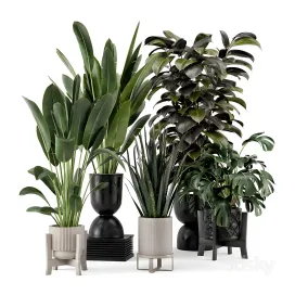 Indoor plants in ferm living bau pot large